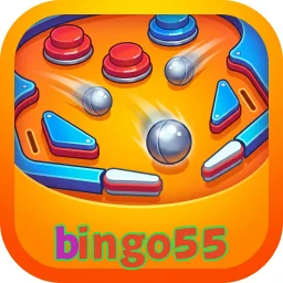 bingo55